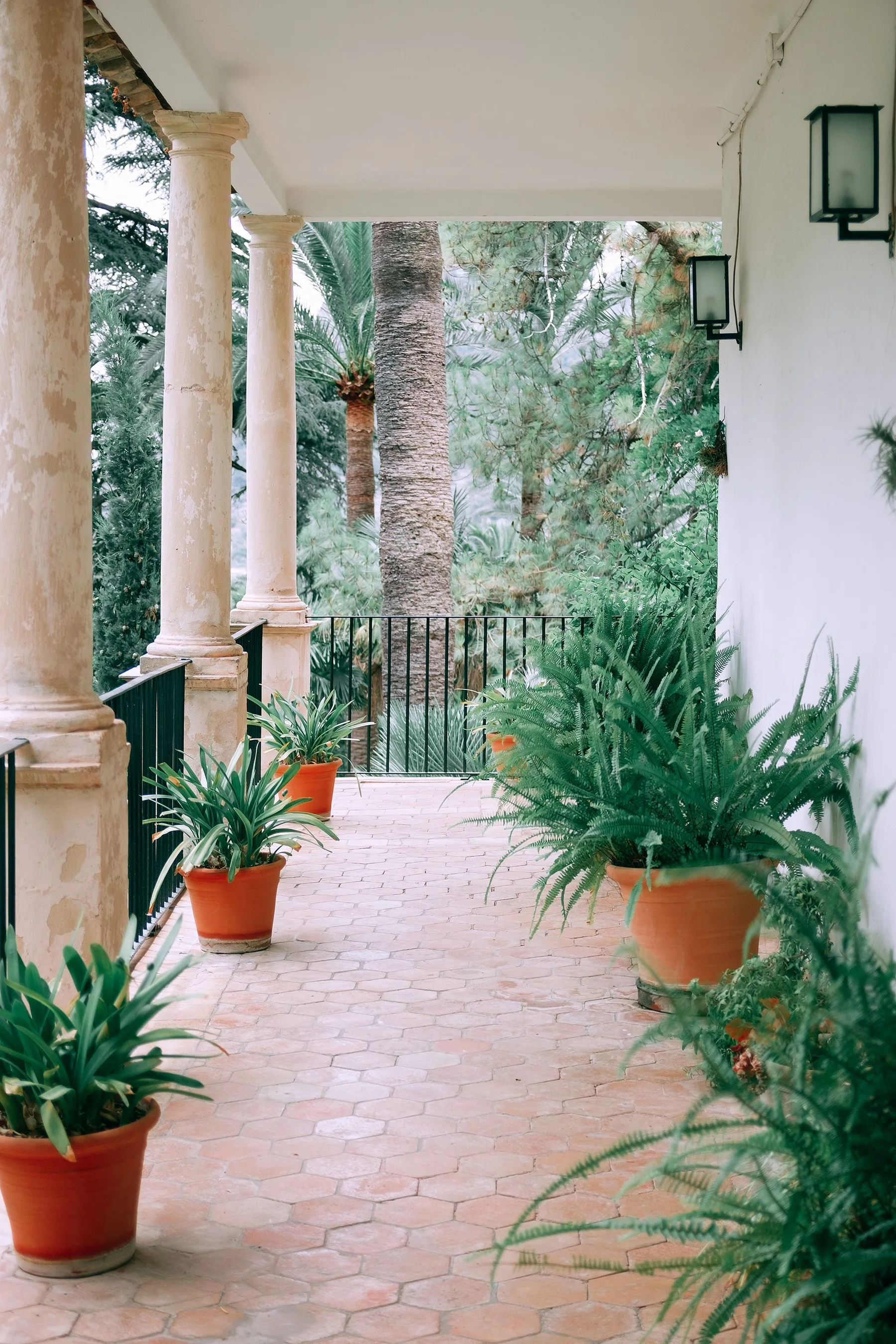 Terrasse en terre cuite bordée de plantes en pots